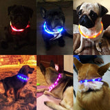 LED Dog Collar